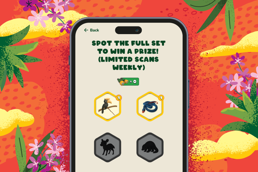 Key-Visual-Mission-Activity-Tiles-900x600_R0-04