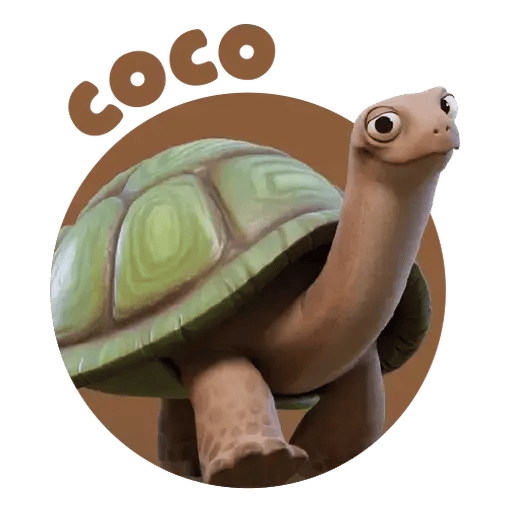 Coco the tortoise