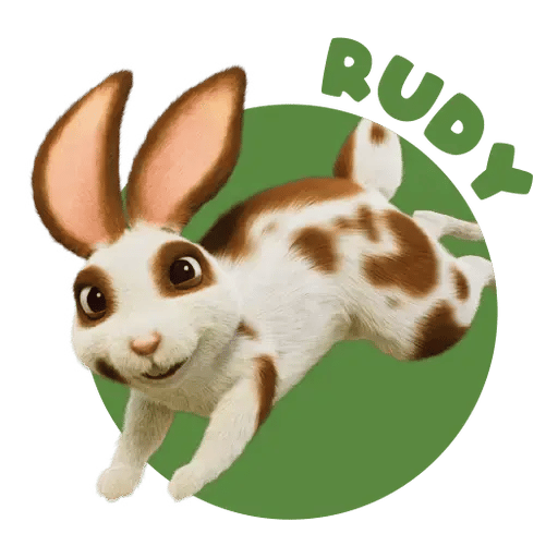 Rudy the rabbit