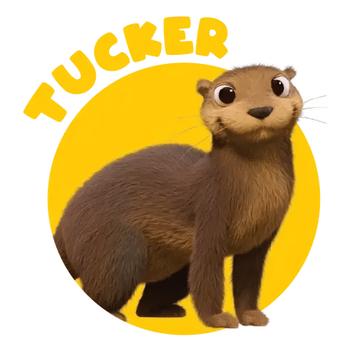 Tucker the otter