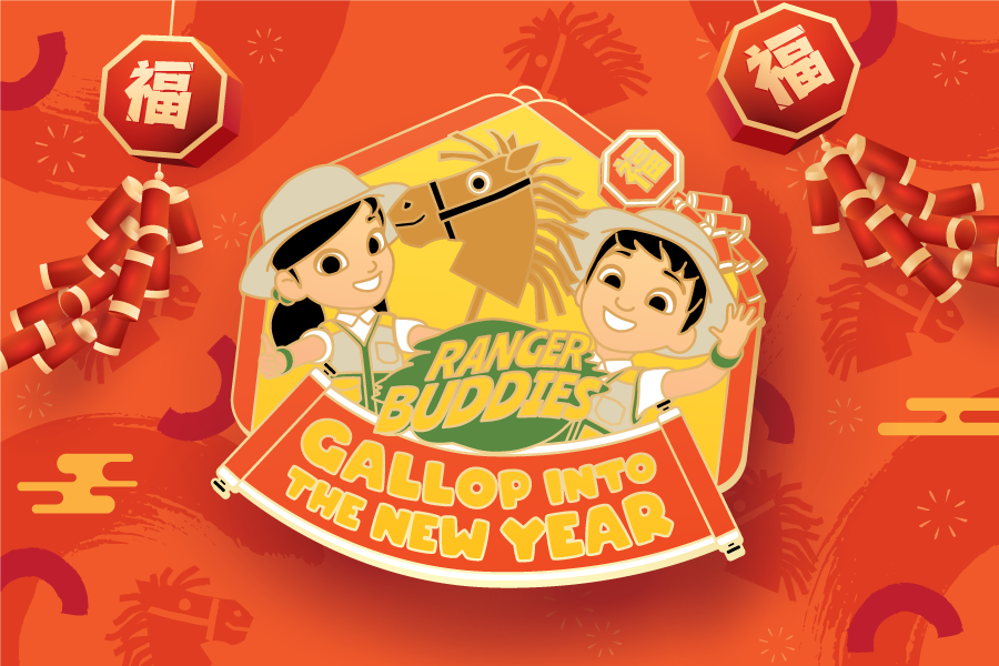 KV-Activities-Tiles_R0-900x600px-02