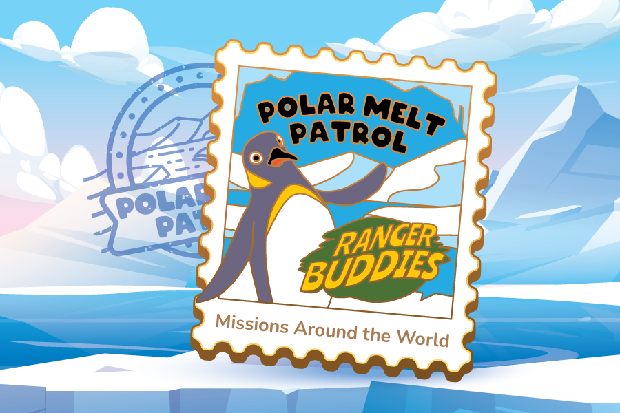 Activities-Tiles-Pin-6_R0-900x600px