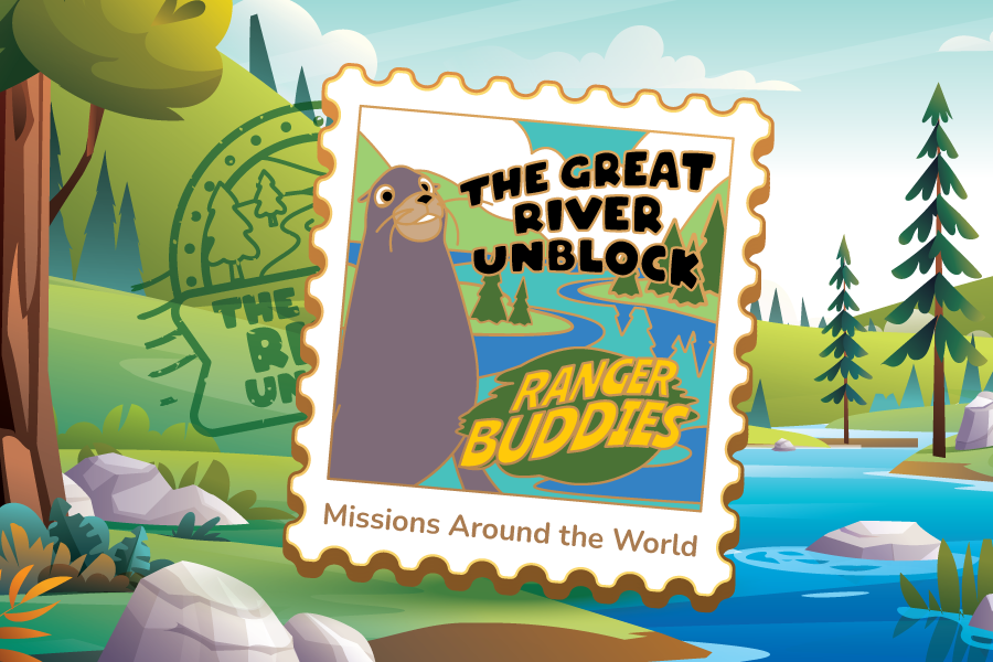 Activities-Tiles-Pin-7_R0-900x600px