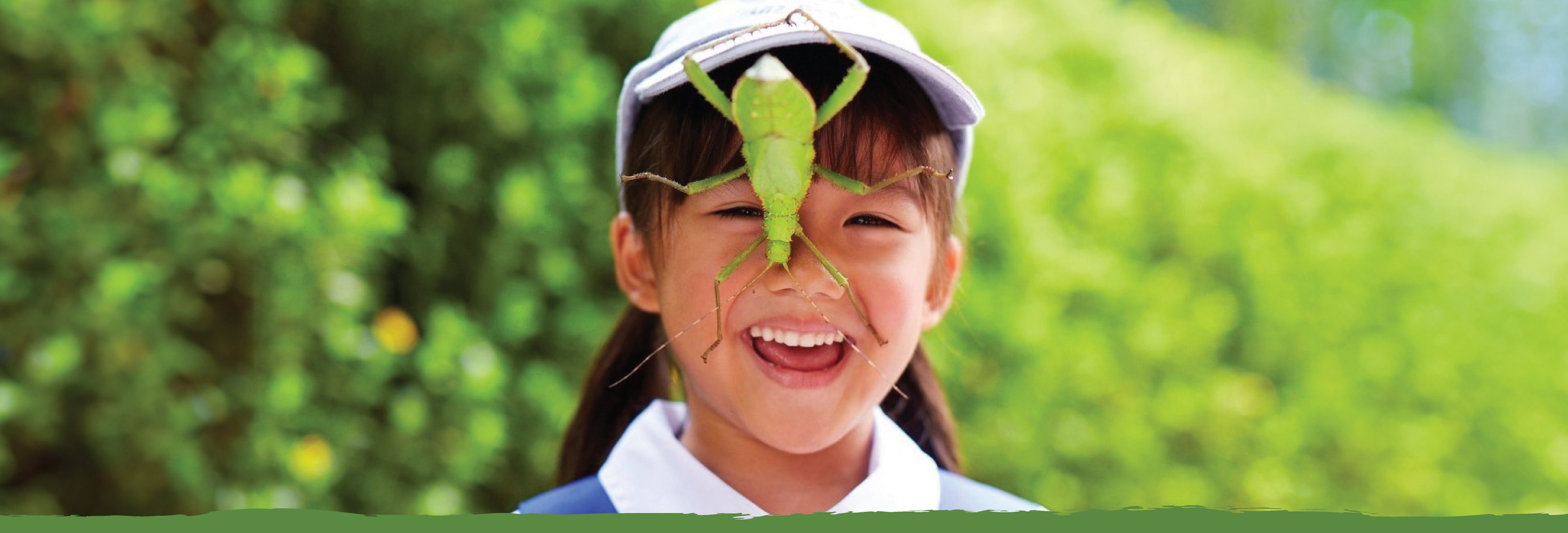 Website-School_R0-FA-02