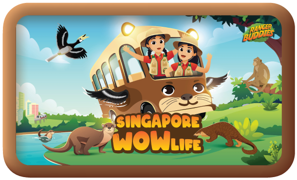 Website-School_R0-FA-12