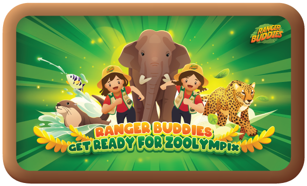Website-School_R0-FA-13