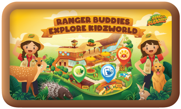Website-School_R0-FA-15