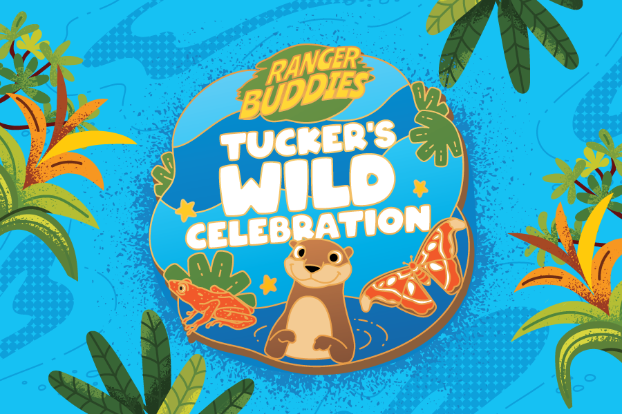 KV-Activities-Tiles_R0-900x600px-02